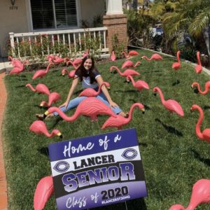 Carlsbad Flamingos | Flock Carlsbad | Graham and Kelly Levine